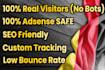 drive real germany targeted web traffic