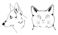 draw vector, line art illustrations