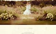 create a wedding website for the digital invitation and rsvp