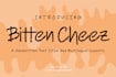 create amazing custom font ttf otf