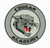 do embroidery digitizing logo into dst pes emb in 1 hour