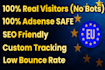 drive real europe eu targeted web traffic