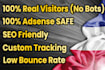drive real france targeted web traffic