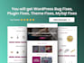 make fixes to your wordpress website