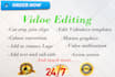 do video editing for youtube professionally within 24 hours