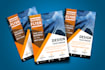 design any kind of professional brochure and flyer design