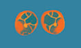 create fluid rotoscope animation