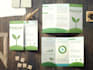 do awesome brochure design for you