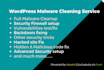 recover hacked wordpress, website security, remove malware