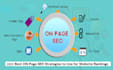 do complete monthly white hat SEO