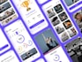 do wordpress website design or wordpress blog