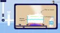 create educational explainer animated videos for any lessons