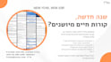 translate your hebrew CV or resume to perfect professional english