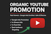do youtube video promotion with google ads