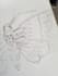 design tattoo concepts for you