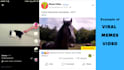 make original and viral memes video for your social media