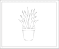 create your plants and flower in line art illustration