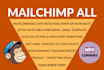 design professional mailchimp email template and setup automation