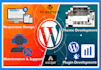 create extraordinary wordpress websites