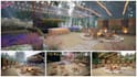 design garden,backyard,pool,patio,landscape renovations and 3d renders