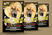 design party, event, valentines day  flyer, and poster