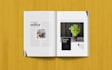 design catalog, magazine and any project with adobe indesign