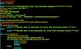 do python script, code, python program, automation