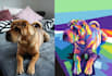 draw your pet into wpap style