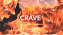 make a premium animated lyric video