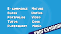 develop a professional wordpress site for your business