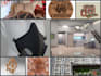 create precise cnc, laser cutting, and 3d printing designs