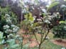 help you learn permaculture