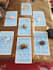 provide an in depth tarot reading via a private video