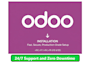 install odoo v18 v17 with SSL, SMTP, backups, fix issues