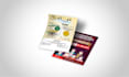 design a perfect professional business flyer, brochure, cataloue
