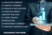 write a business plan and business proposal
