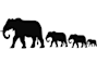 create silhouette anything vector for you