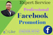 promote facebook service for any company