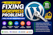 fix your wordpress, woocommerce, css, js issue and bugs