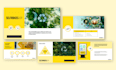 create professional powerpoint presentation design or video
