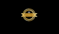 design professional gold luxury logo in 24 hours