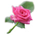 photo begraund remove etc
