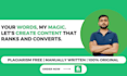 do SEO article writing, content writing and blog writing