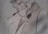 draw everything you want