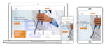 develop dynamic web application