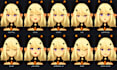 set up vrchat face tracking, blendshapes and facial expressions
