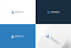 do professional custom logo intro
