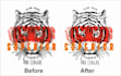do vector trace or remake logo and image manually,