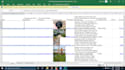 do data entry, copy paste, web research, PDF to excel