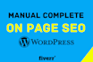 do SEO services to improve, speed up and optimize website